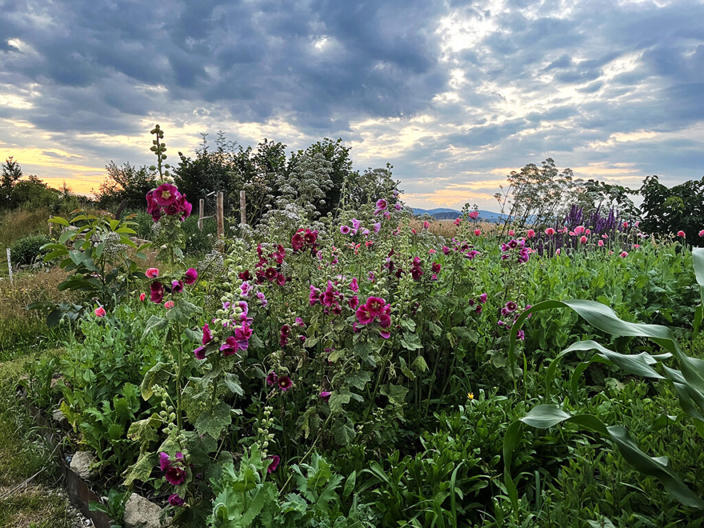 Bauerngarten