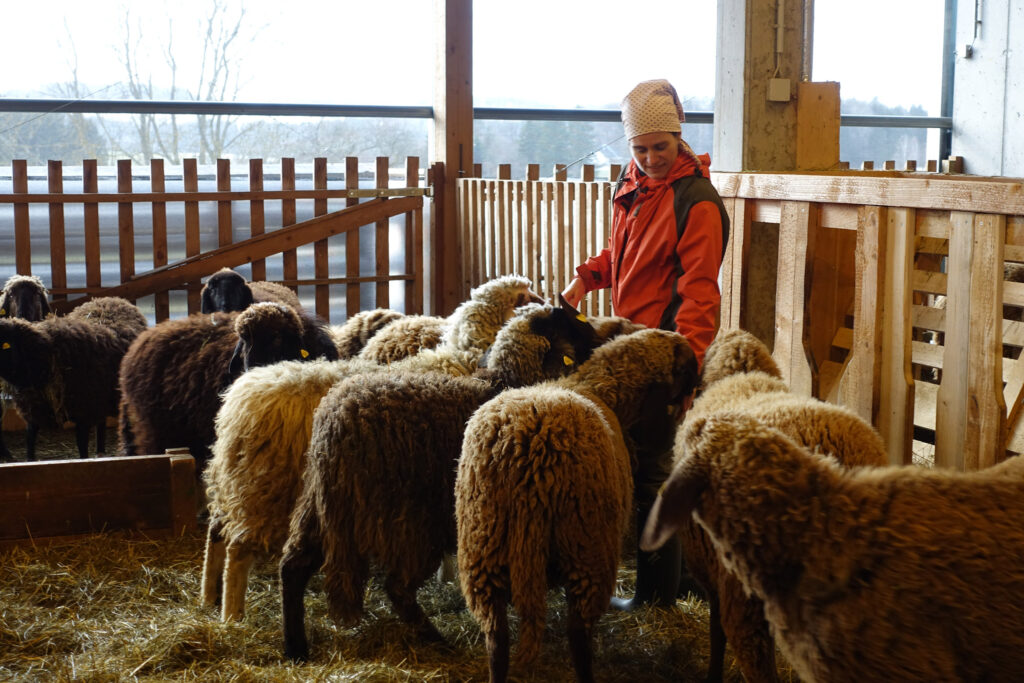 Martina Follner inmitten ihrer Schafe im Stall