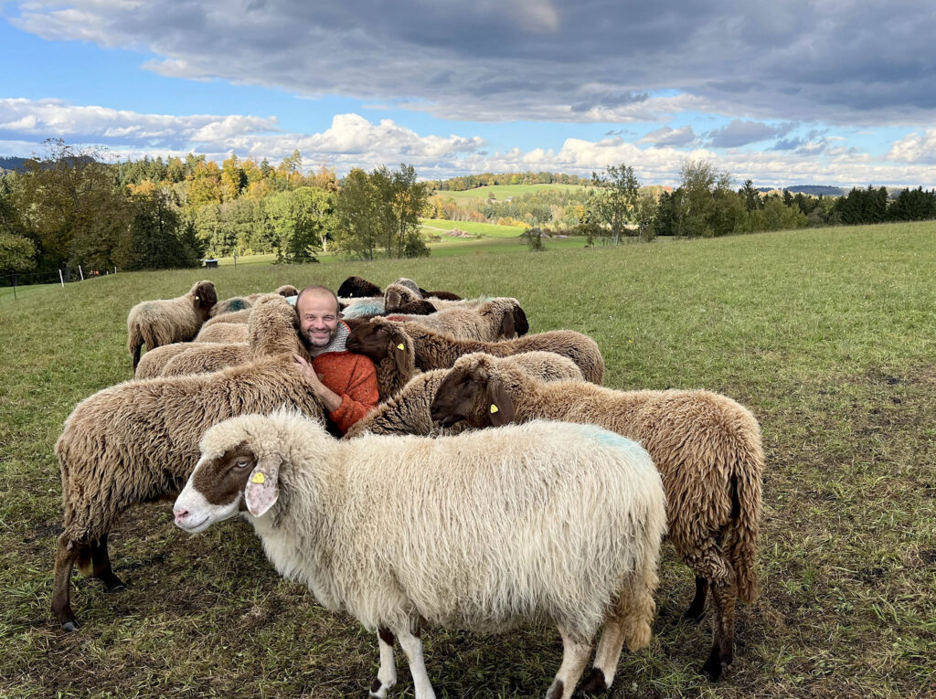 Paul Axmann inmitten seiner Schafe auf der Weide