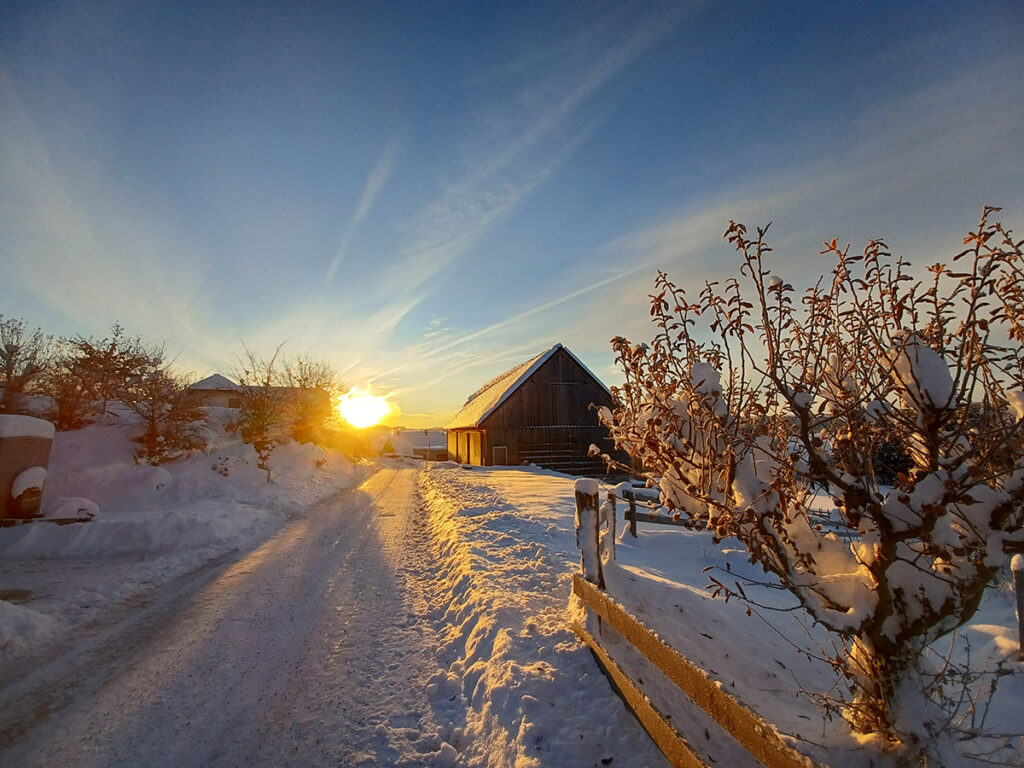 Winterliche Zufahrt zum Hof