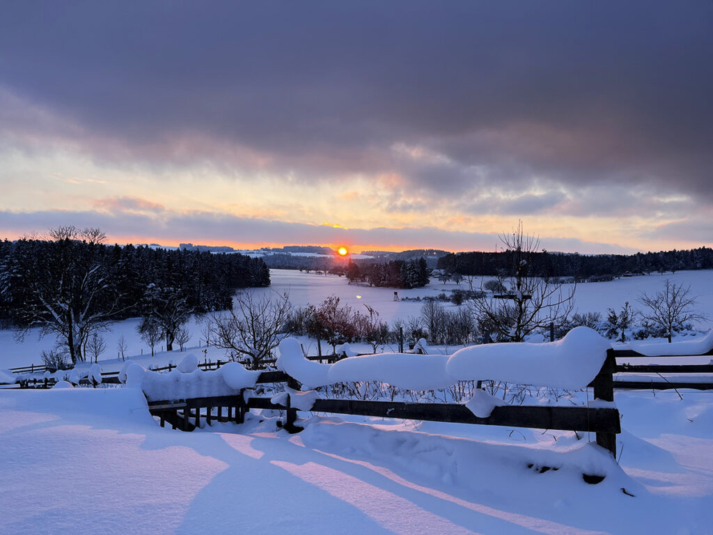 Untergehende Wintersonne